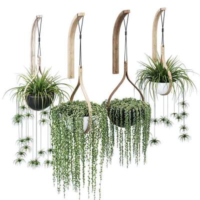 现代金属植物吊篮